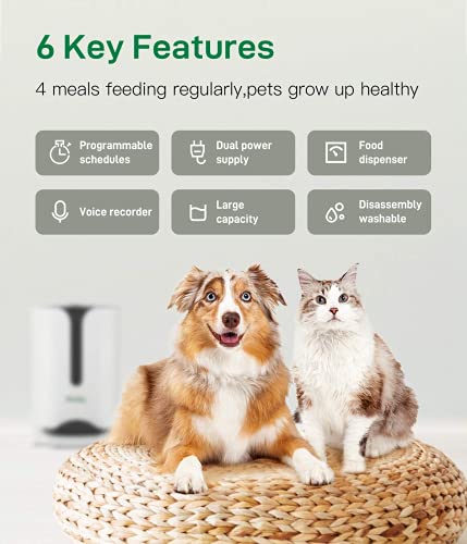 Automatic Pet Feeder