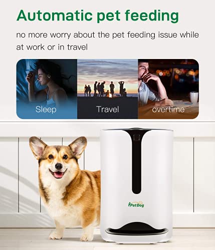 Automatic Pet Feeder