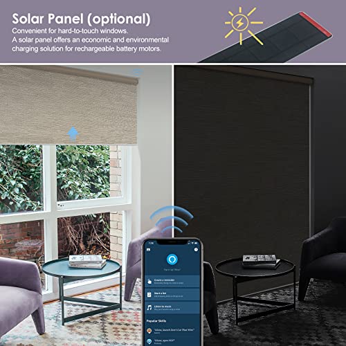 Automated Shades - Motorized Roller Shades