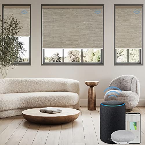 Automated Shades - Motorized Roller Shades