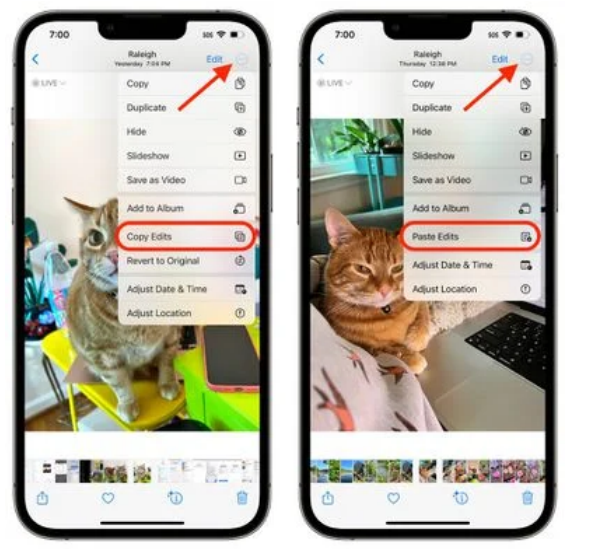 Copy and Paste Photo Edits