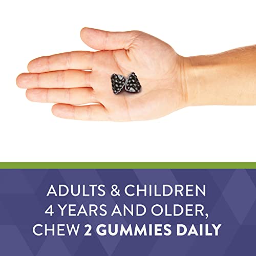 Immune Support - Stop the Virus from Replicating - Elderberry Gummies, With Vitamin C