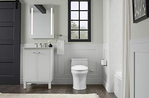 Heated Toilet Seat, Elongated, White with Quiet-Close Lid and Seat