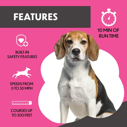 Swift Paws - Automated Fetch to keep Dogs Energetic, Active and Healthy