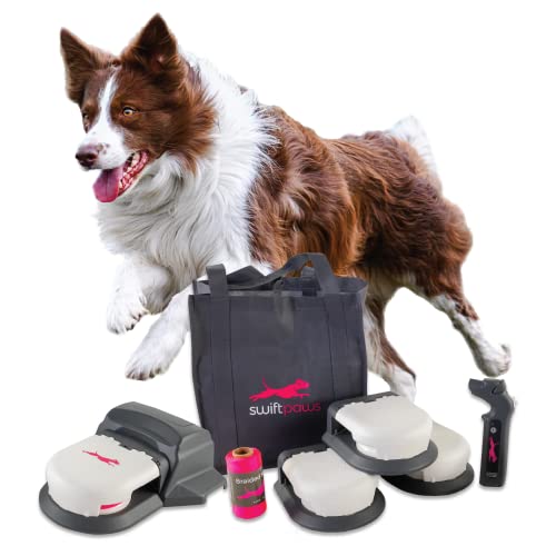 Swift Paws - Automated Fetch to keep Dogs Energetic, Active and Healthy