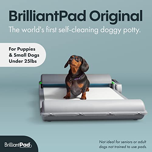 Self Cleaning Pads