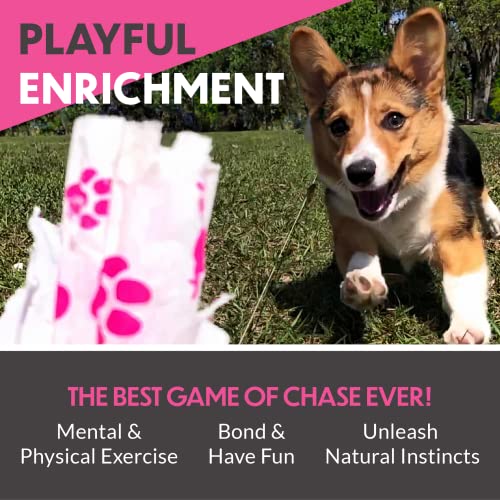 Swift Paws - Automated Fetch to keep Dogs Energetic, Active and Healthy