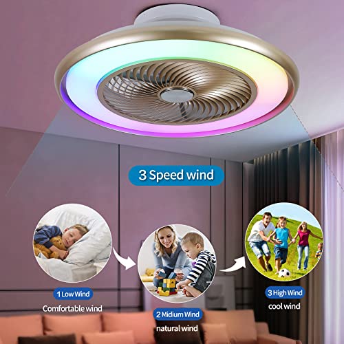 Ceiling light, fan, led display and music all in one! - 22"Bladeless