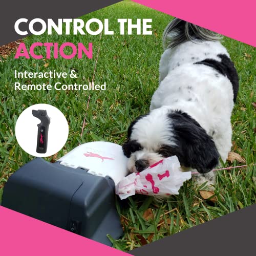 Swift Paws - Automated Fetch to keep Dogs Energetic, Active and Healthy